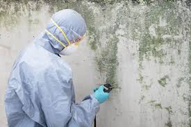 Trusted Two Rivers, WI Mold Inspection Experts